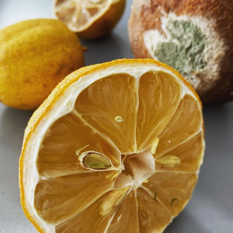 Limones cortados sobre una superficie clara
