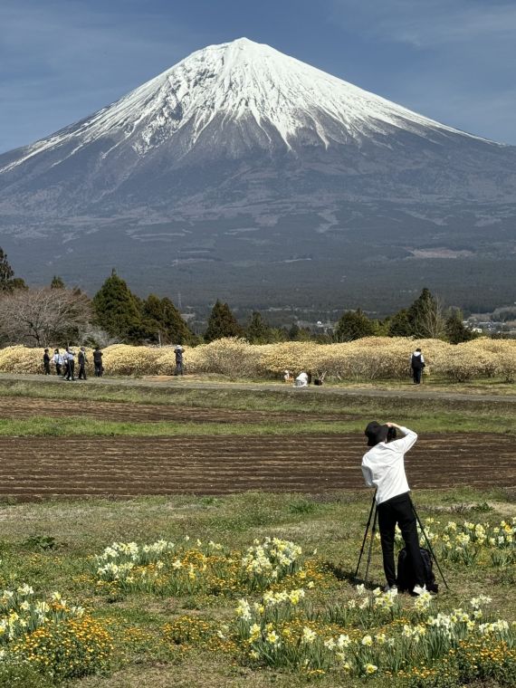 Fotógrafo ante una montaña nevada, al otro lado de un campo en flor